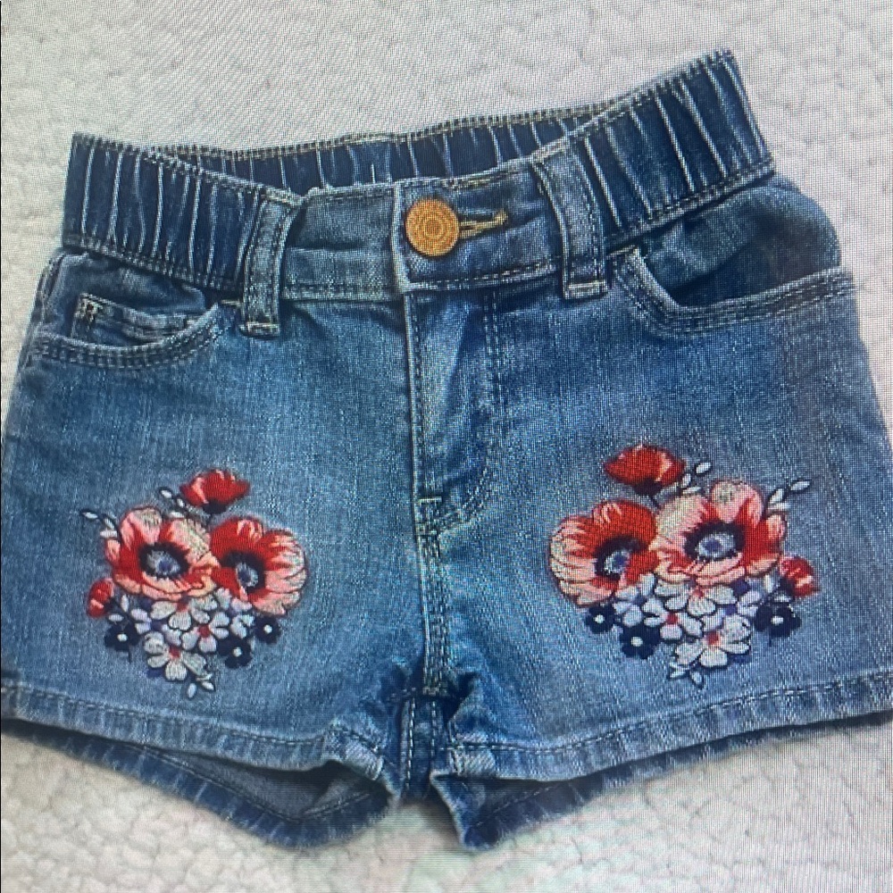 Floral Embroidered Denim Shorts